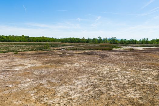 Soos is a post-volcanic conservation area in the north Czech Republic near Frantiskovy Lazne. In this reserve bog is combined with moffetes, mud volcanoes and hot springs.