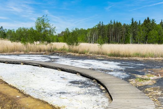 Soos is a post-volcanic conservation area in the north Czech Republic near Frantiskovy Lazne. In this reserve bog is combined with moffetes, mud volcanoes and hot springs.