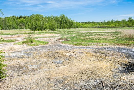 Soos is a post-volcanic conservation area in the north Czech Republic near Frantiskovy Lazne. In this reserve bog is combined with moffetes, mud volcanoes and hot springs.