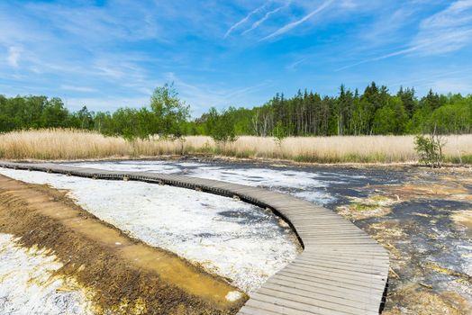 Soos is a post-volcanic conservation area in the north Czech Republic near Frantiskovy Lazne. In this reserve bog is combined with moffetes, mud volcanoes and hot springs.