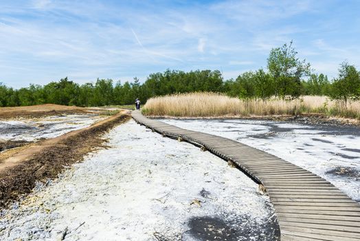 Soos is a post-volcanic conservation area in the north Czech Republic near Frantiskovy Lazne. In this reserve bog is combined with moffetes, mud volcanoes and hot springs.