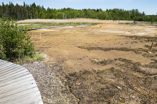 Soos is a post-volcanic conservation area in the north Czech Republic near Frantiskovy Lazne. In this reserve bog is combined with moffetes, mud volcanoes and hot springs.