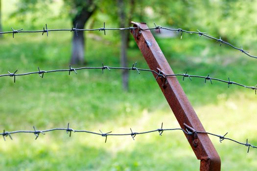 The barbed wire is stretched on a rusty iron support against the background of a green garden in blur. Territory protection concept, copy space.