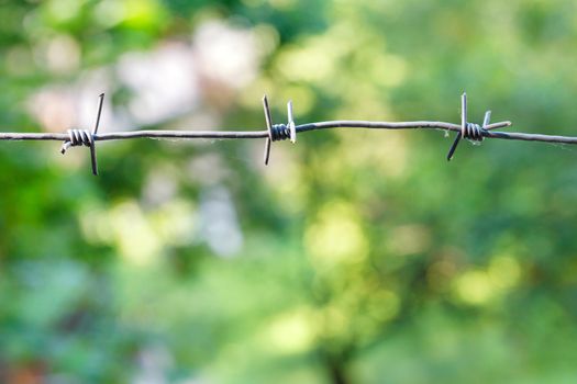 Stretched barbed wire on a light green blurred background. Territory protection concept, copy space.