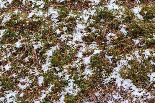 first snow laying over green grass and autumnal leaves - view from above