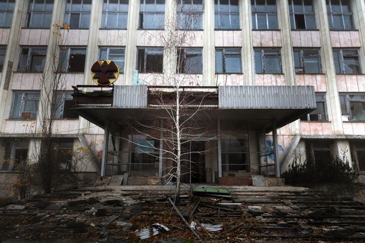 abandoned building in Chernobyl with tree growing from the stairs closeup