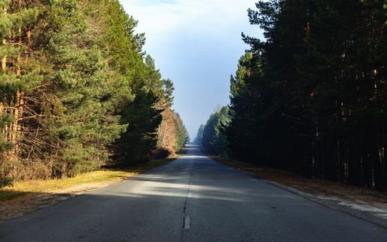 Abandoned long road in the forest