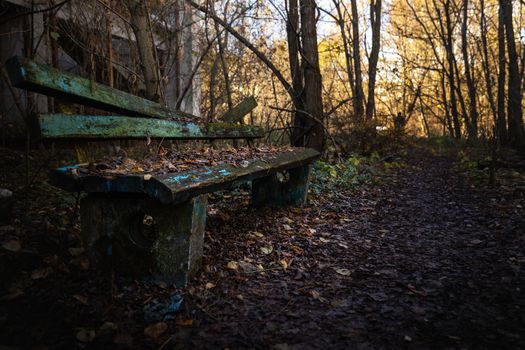 Old destroyed bench next to path angle shot