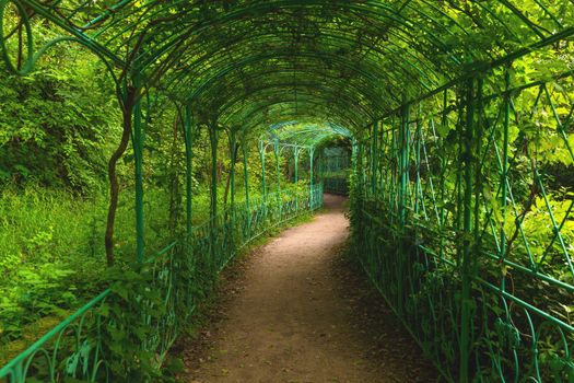 Green path in beautiful summer garden angle shot