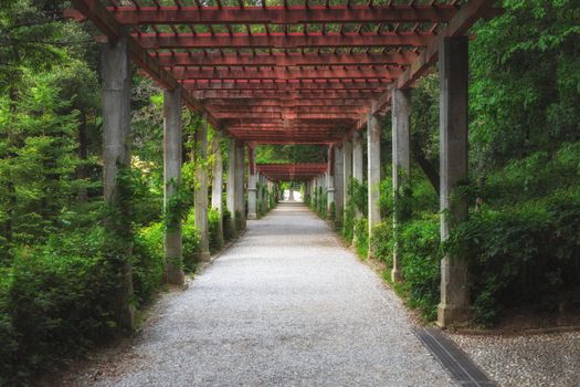 Green path in beautiful summer garden angle shot