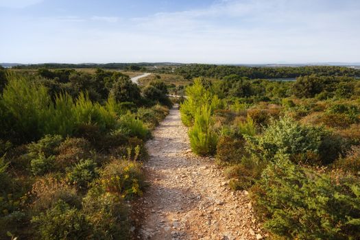 Long Dirt road leading forward on mediterranean lands