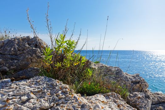 Shores of an island in the mediterraneans scenic photo