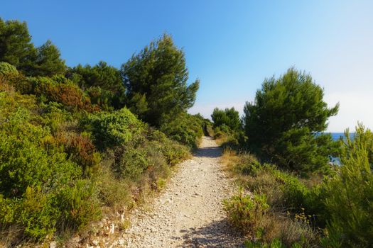 Long Dirt road leading forward on mediterranean lands