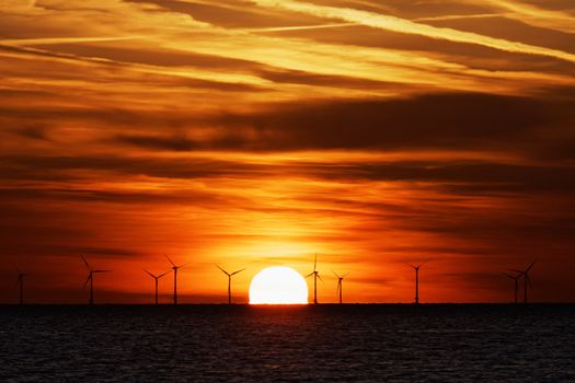 Windfarm on the sea at sunset closeup