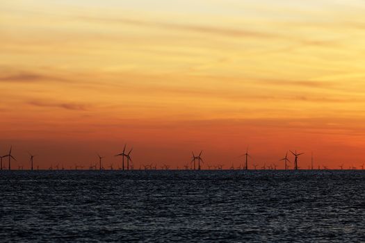 Windfarm on the sea at sunset closeup