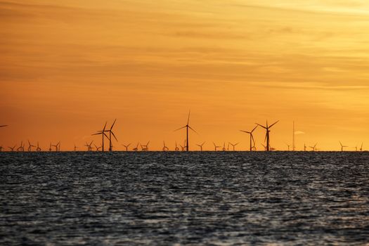 Windfarm on the sea at sunset closeup