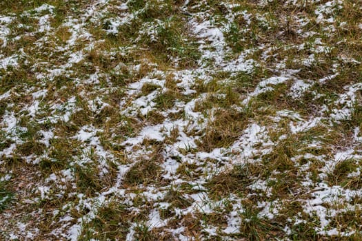 first snow laying over green grass and autumnal leaves in perspective view.