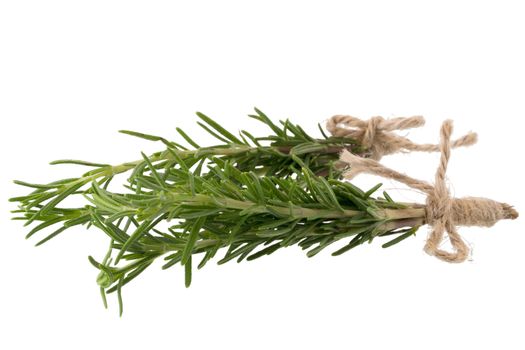 Fresh rosemary bunch isolated on white background.