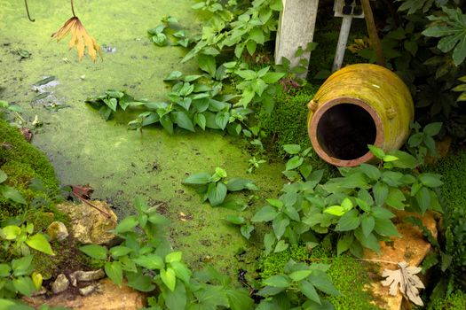 Flowwer pot and water as background texture