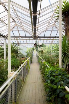 Green-house with steel bridge angle shot