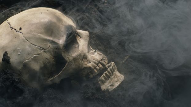 Human skull on the wet soild with smoke flowing closeup