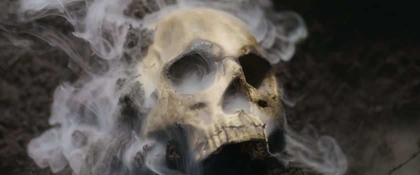 Human skull on the wet soild with smoke flowing closeup