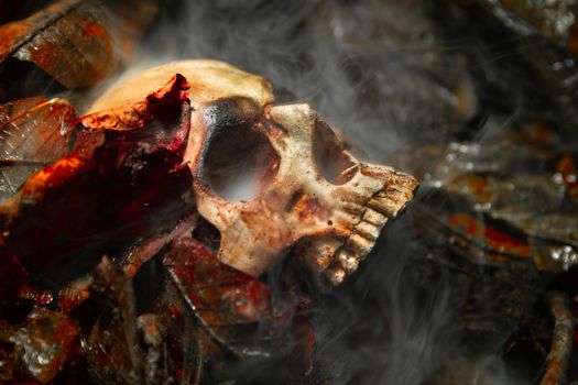 Human skull on the wet soild with smoke flowing closeup