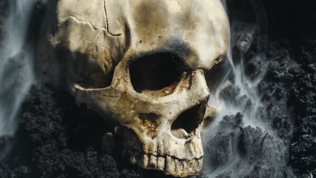 Human skull on the wet soild with smoke flowing closeup