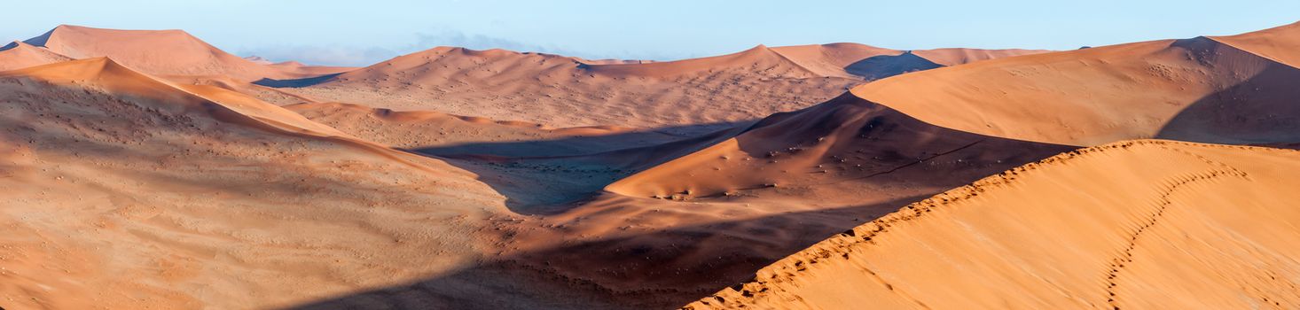 Panoramic view from the sickle shaped sand dune next to Sossusvlei towards the north. Sand dunes and footprints are visible