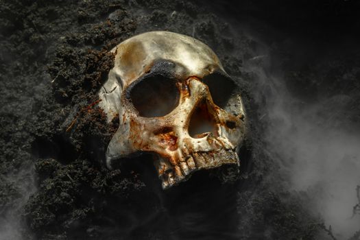 Human skull on the wet soild with smoke flowing closeup