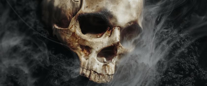 Human skull on the wet soild with smoke flowing closeup