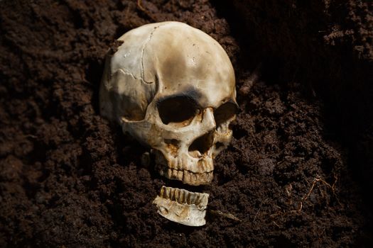 Human skull on the wet soild with smoke flowing closeup