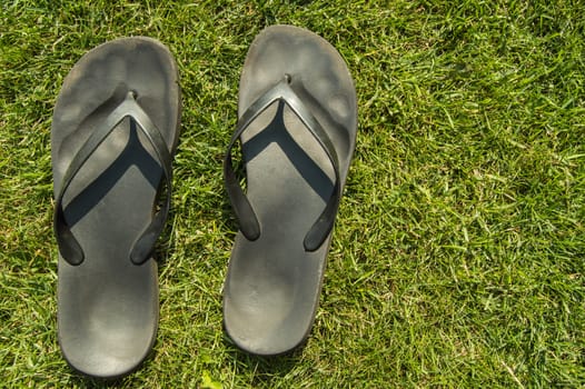 A pair of black rubber flip-flops on the green grass of the lawn with a copy of the space, in summer, outdoors.