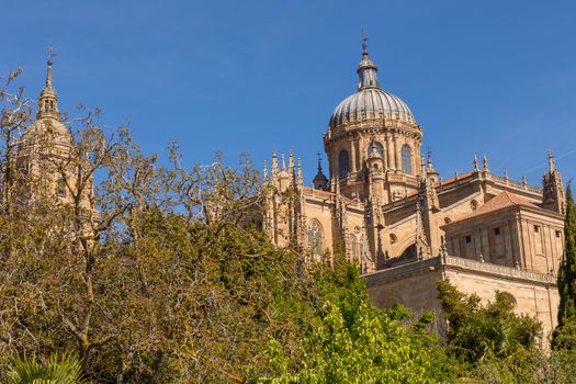View of the historical Salamanca Cathedral, Spain