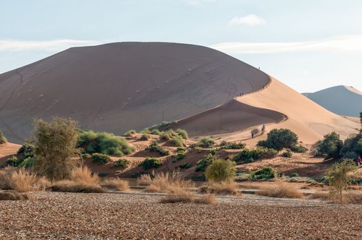 View of the sickle shaped sand dune next to Sossusvlei. Tourists are visible on the dune