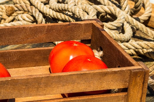 Wooden crate with fresh ripe tomatoes isolated in a rustic composition,