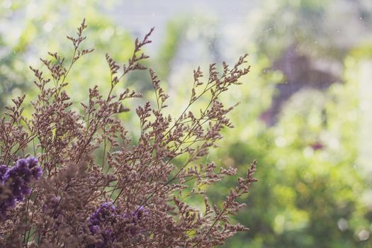 Bouquet of dried flowers with green nature background