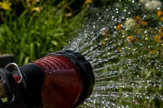The nozzle of a garden hose is held up in the foreground, spraying out fresh water at a flower garden behind it.
