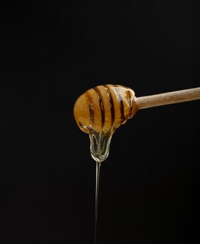 Close up fresh thick fluid acacia honey pouring and flowing from wooden dipper spoon isolated on black background with copy space, low angle side view