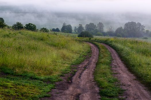 dry summer dirt road at misty morning outdoors.
