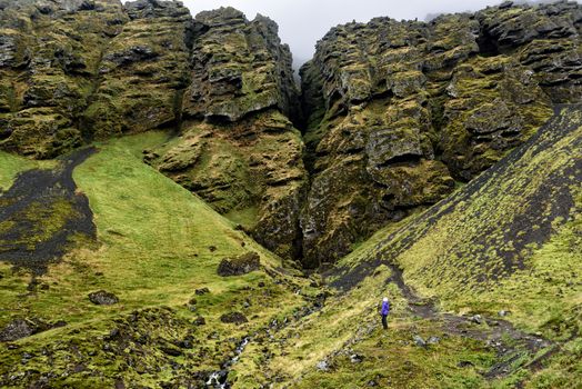 Iceland hiker tourist sightseeing visiting Raudfeldsgja Canyon gorge rift nature landscape on the Snaefellsnes peninsula, West Iceland.