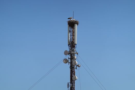 a cell tower anthena . High quality Photo.
