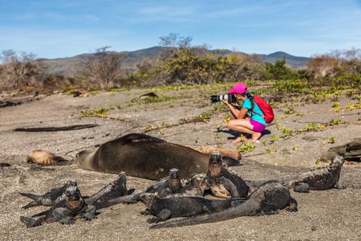 Wildlife nature photographer tourist on Galapagos looking at Galapagos Sea Lion and marine iguanas taking photo on Galapagos adventure travel vacation, Puerto Egas (Egas port) Santiago island, Ecuador