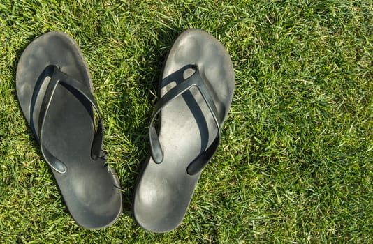 A pair of black rubber flip-flops on the green grass of the lawn with a copy of the space, in summer, outdoors.