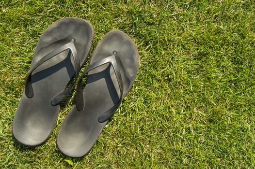 A pair of black rubber flip-flops on the green grass of the lawn with a copy of the space, in summer, outdoors.