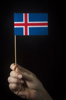 Hand with small flag of state of Iceland