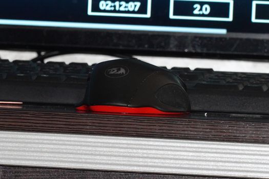 a mouse in a High quality Photo.