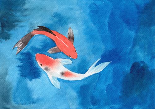 Watercolor hand painting, two koi carp fish in pond, symbol of good luck and prosperity