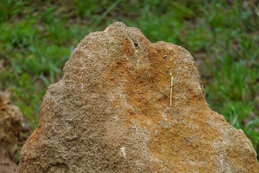 a brown rock in a High quality Photo.