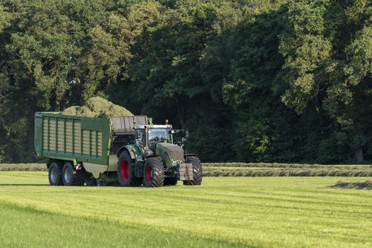 Green tractor picking up cut grass with a green loader wagon in the summer in the Netherlands
